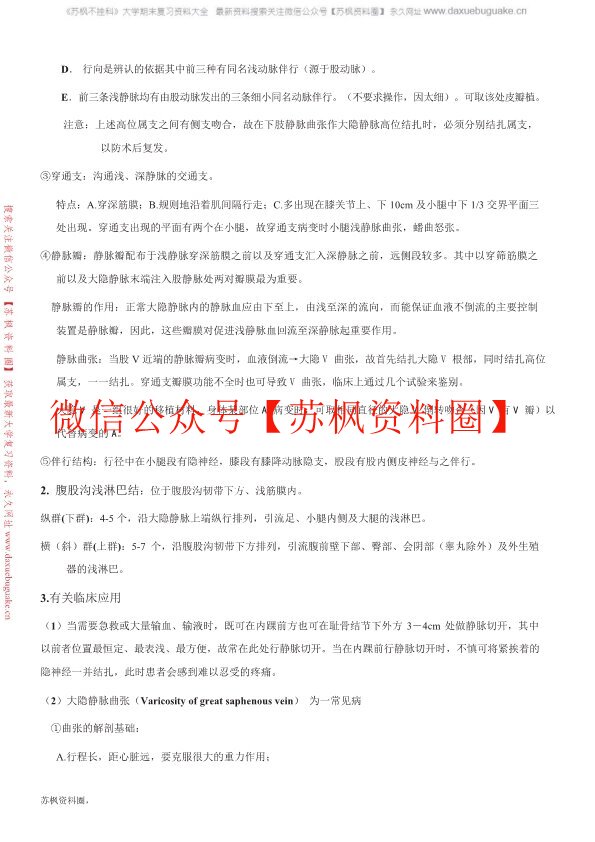 局部解剖学